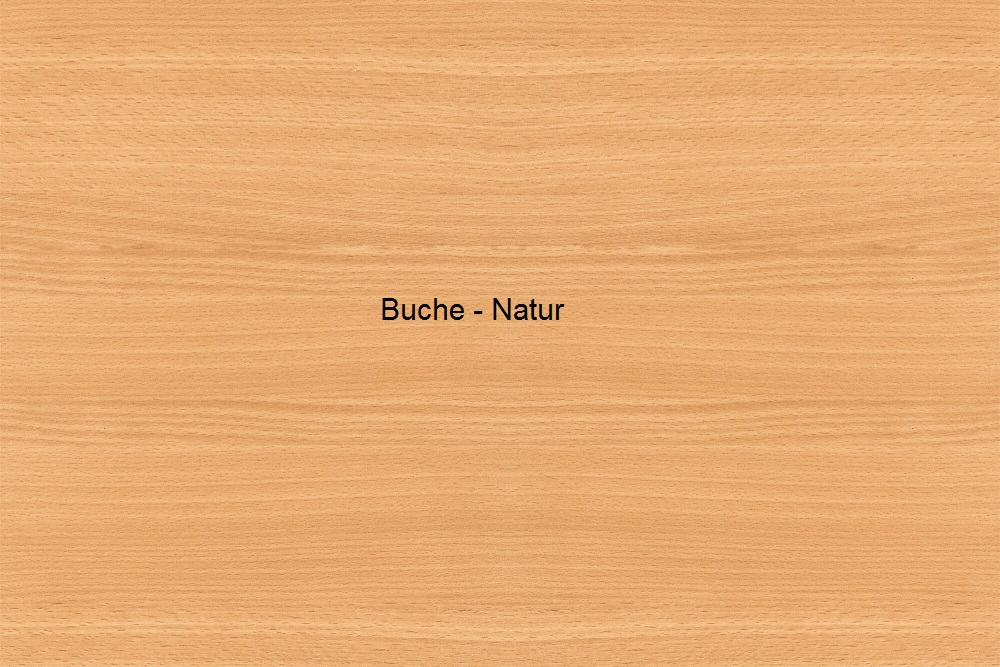 Burmeier Pflegebett Regia Easy-Switch