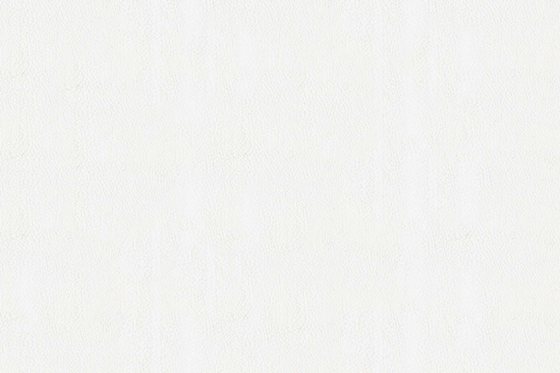 Kunstleder weiß (nur kombinierbar mit Nobla und Nobla Mala gepolstert)