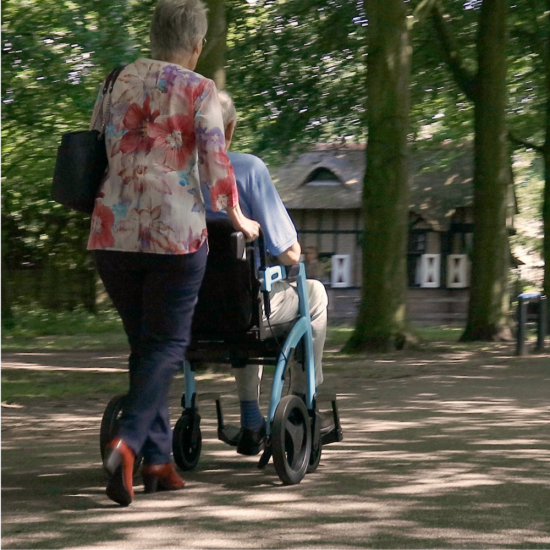 Rollz Motion 2.1 faltbarer Rollator und Rollstuhl in einem