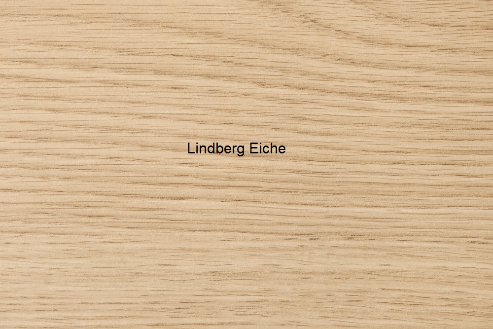 Burmeier Pflegebett Regia Easy-Switch
