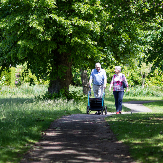Rollz Motion 2.1 faltbarer Rollator und Rollstuhl in einem