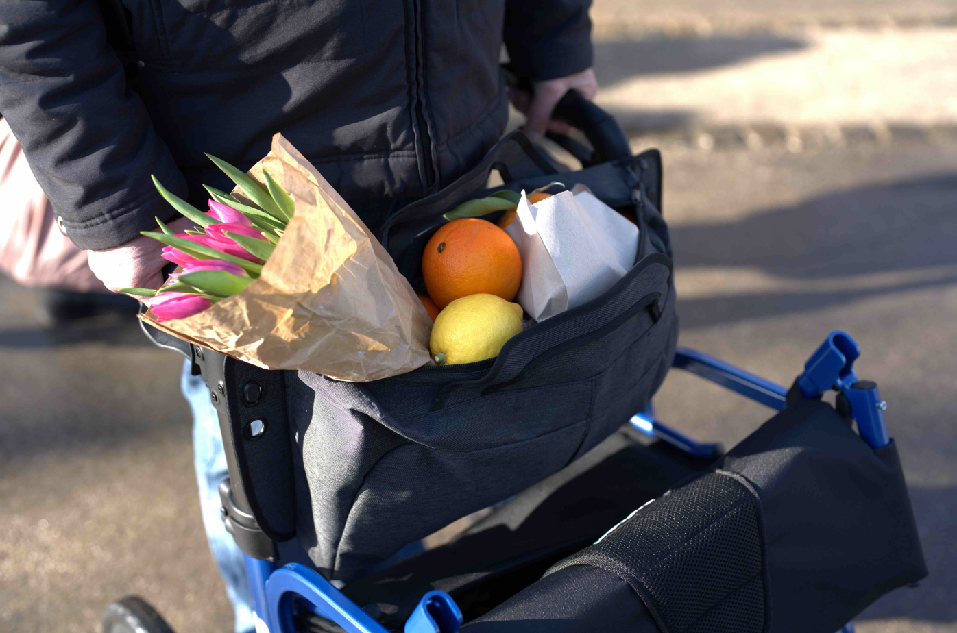  Rollator SEATA STRONGBACK Mobility