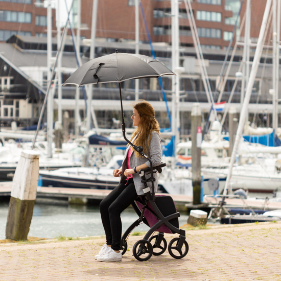 Regenschirm für Rollator Rollz Flex²