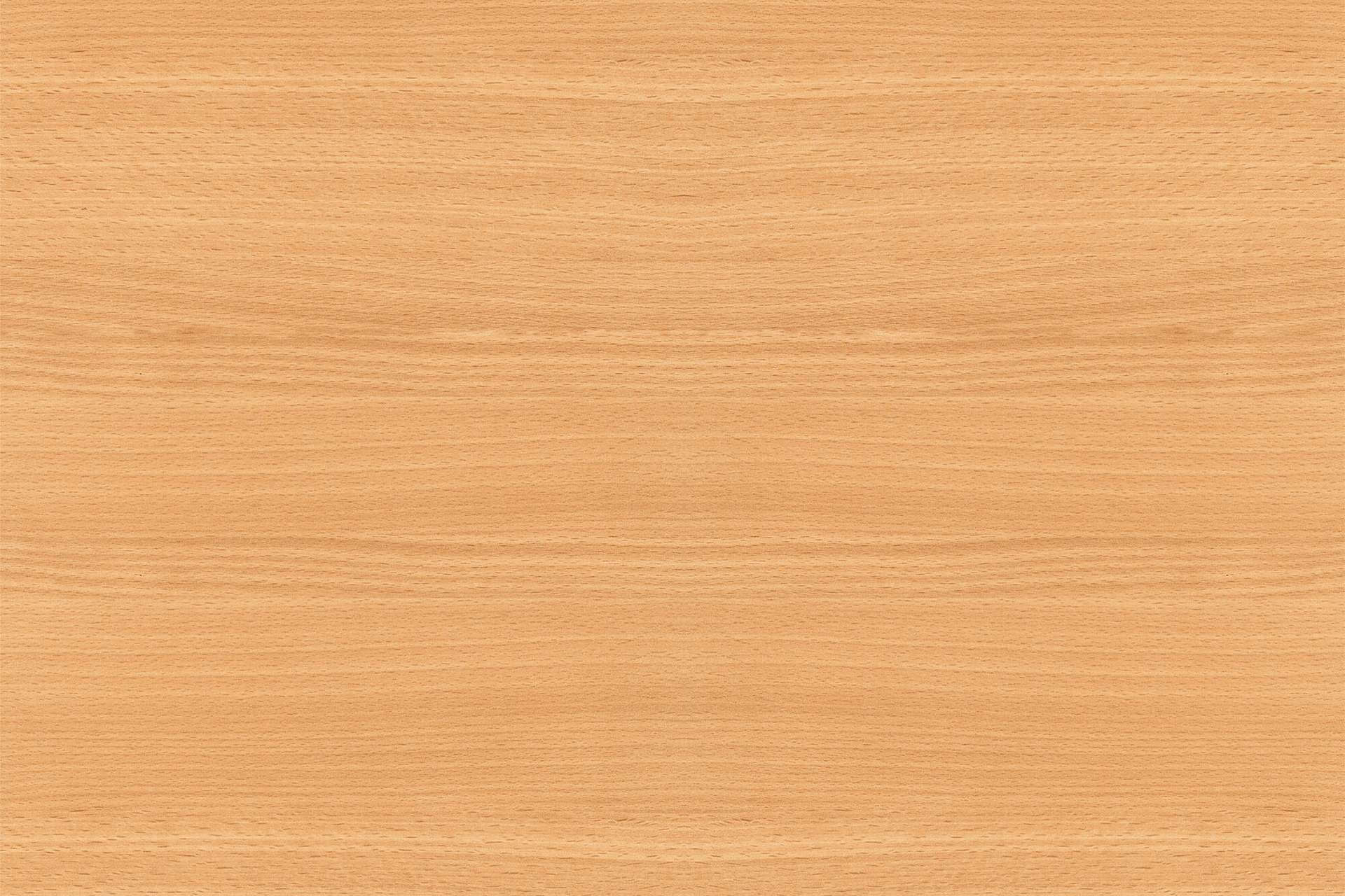 csm_R-24010-VV-Buche-Natur_7db3a209f4